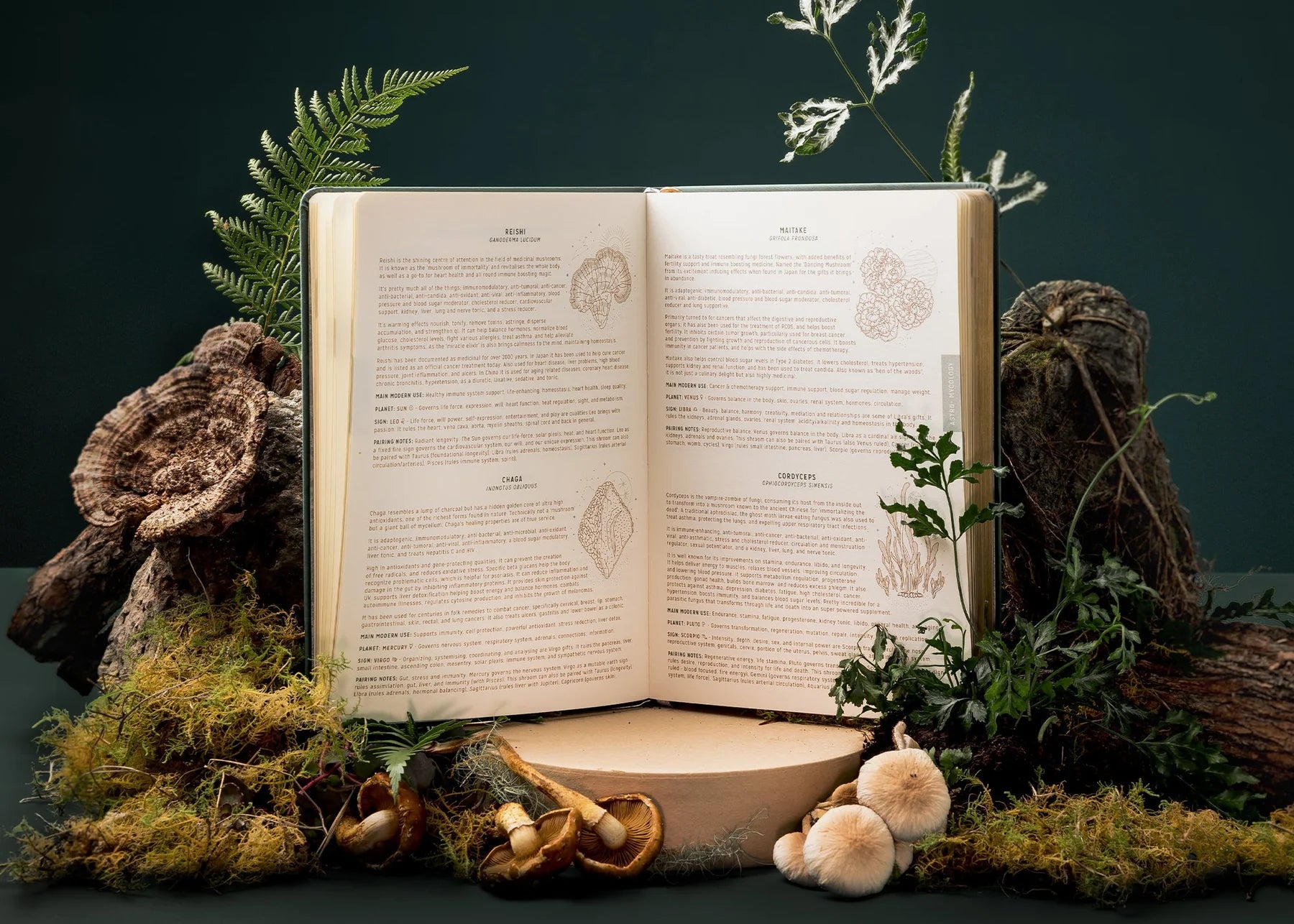 2025 Astrological Planner - Sage