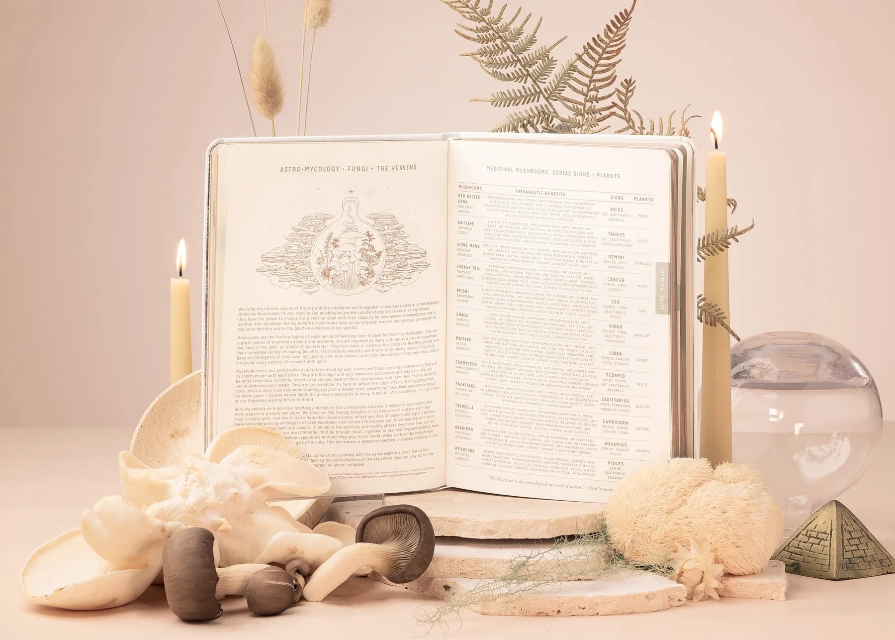 2024 Astrological Planner - White