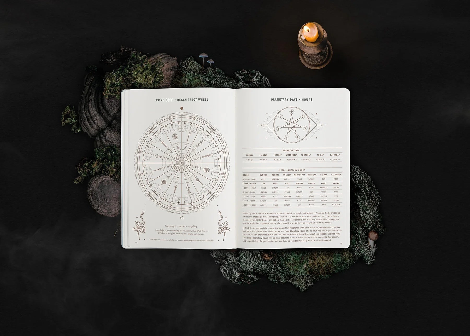 2024 Astrological Planner - Black