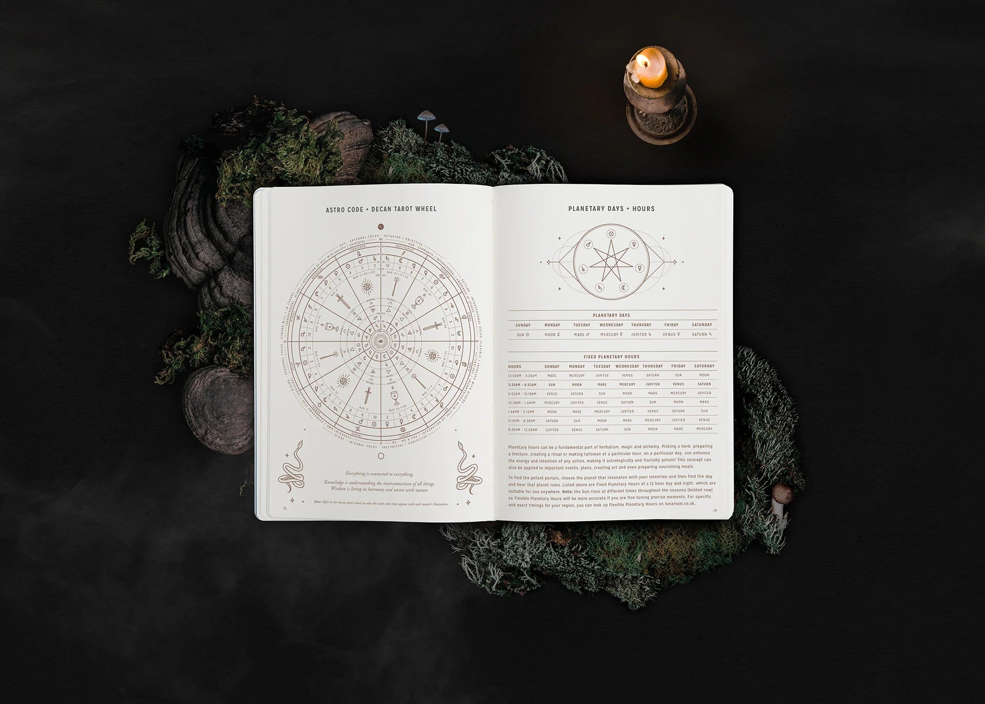 2024 Astrological Pocket Planner - Sage