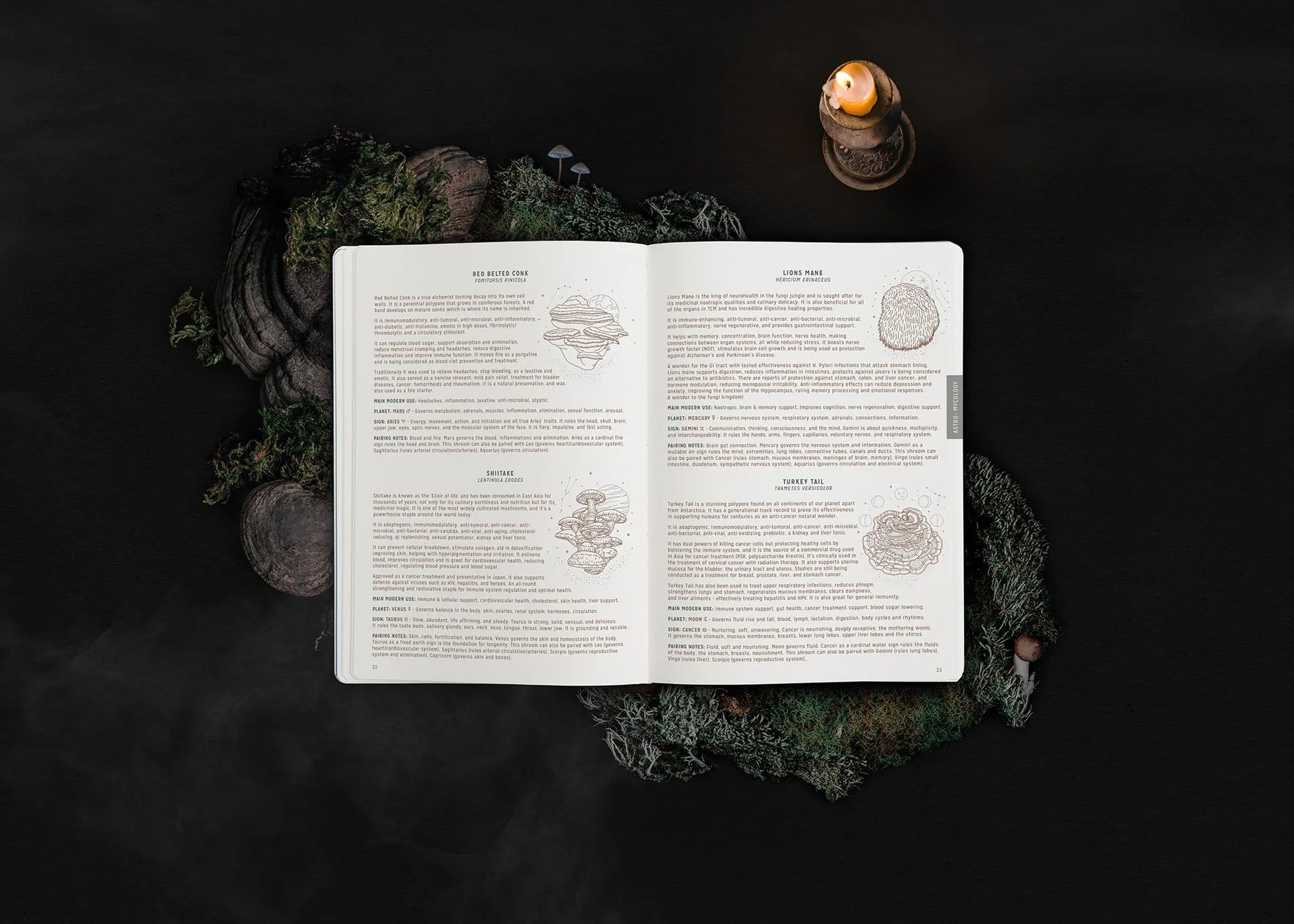 2025 Astrological Planner - Black