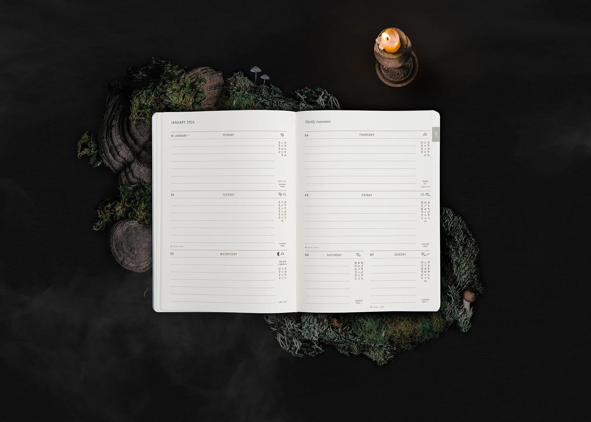 2025 Astrological Pocket Planner - Sage - Preorder Now!