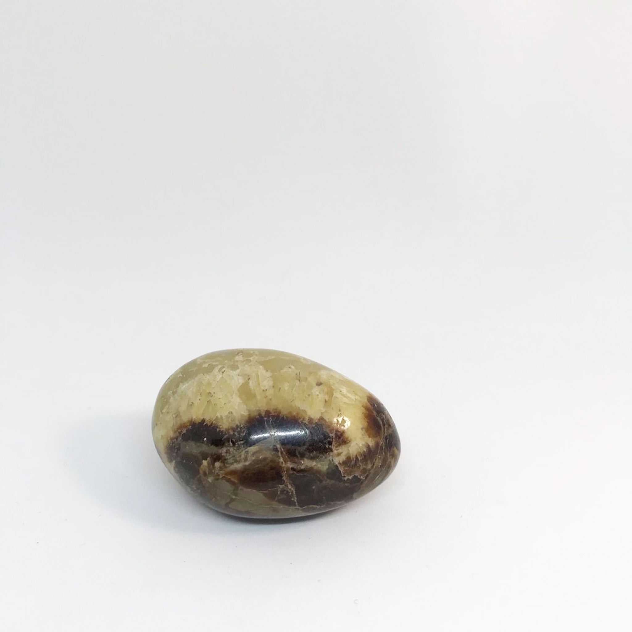 Septarie Egg