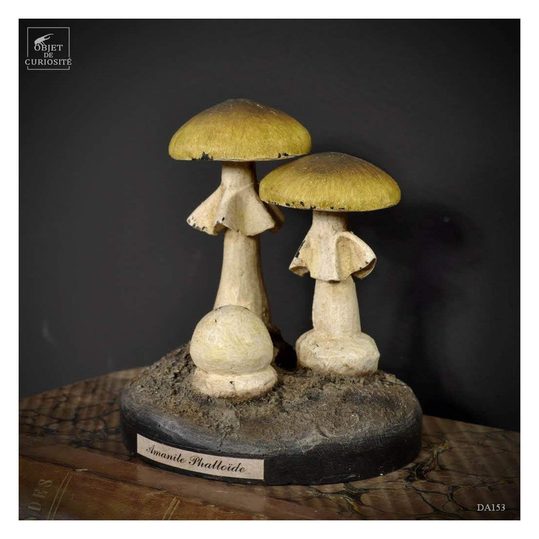 Artifact amanita phalloides