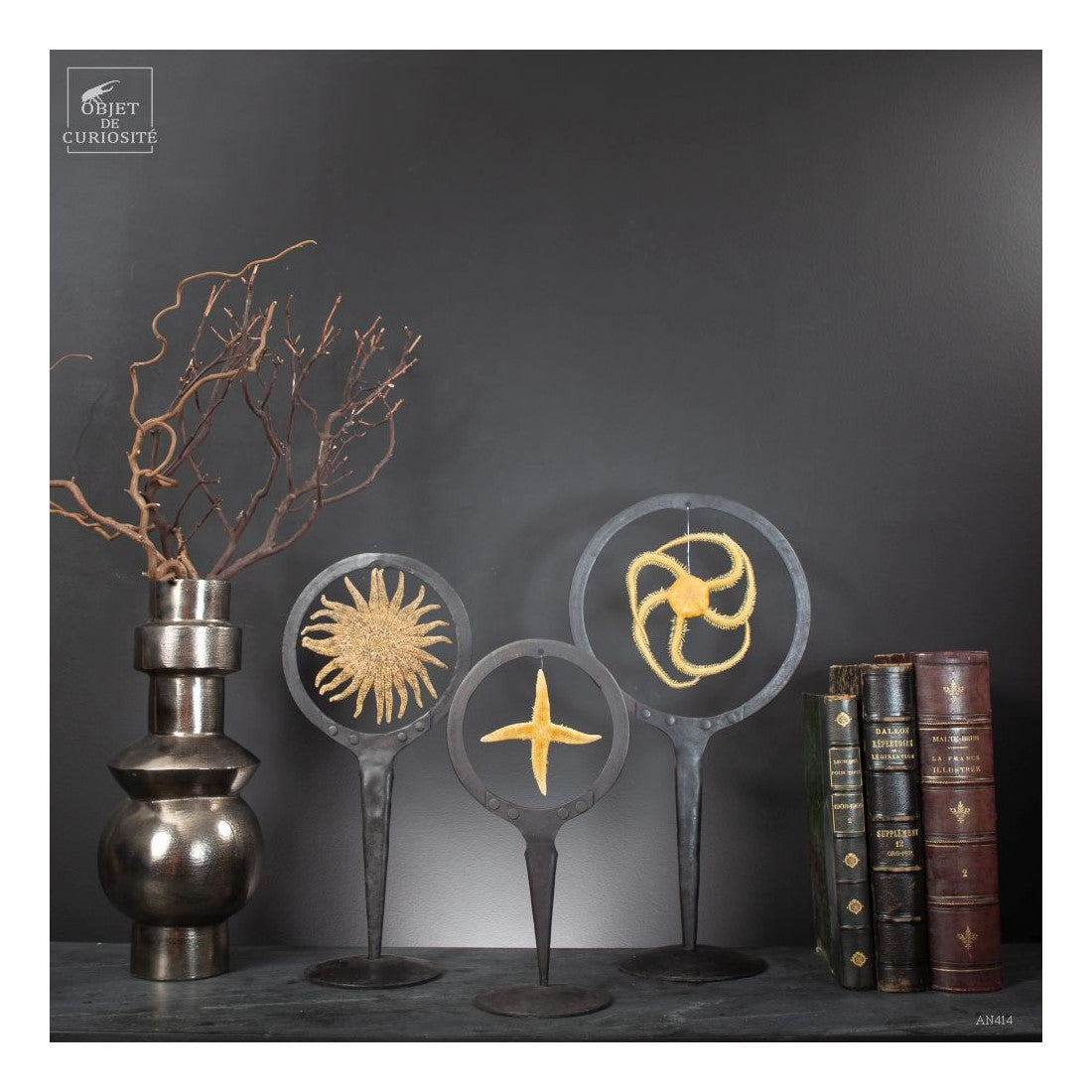 4 arms starfish in metal circle