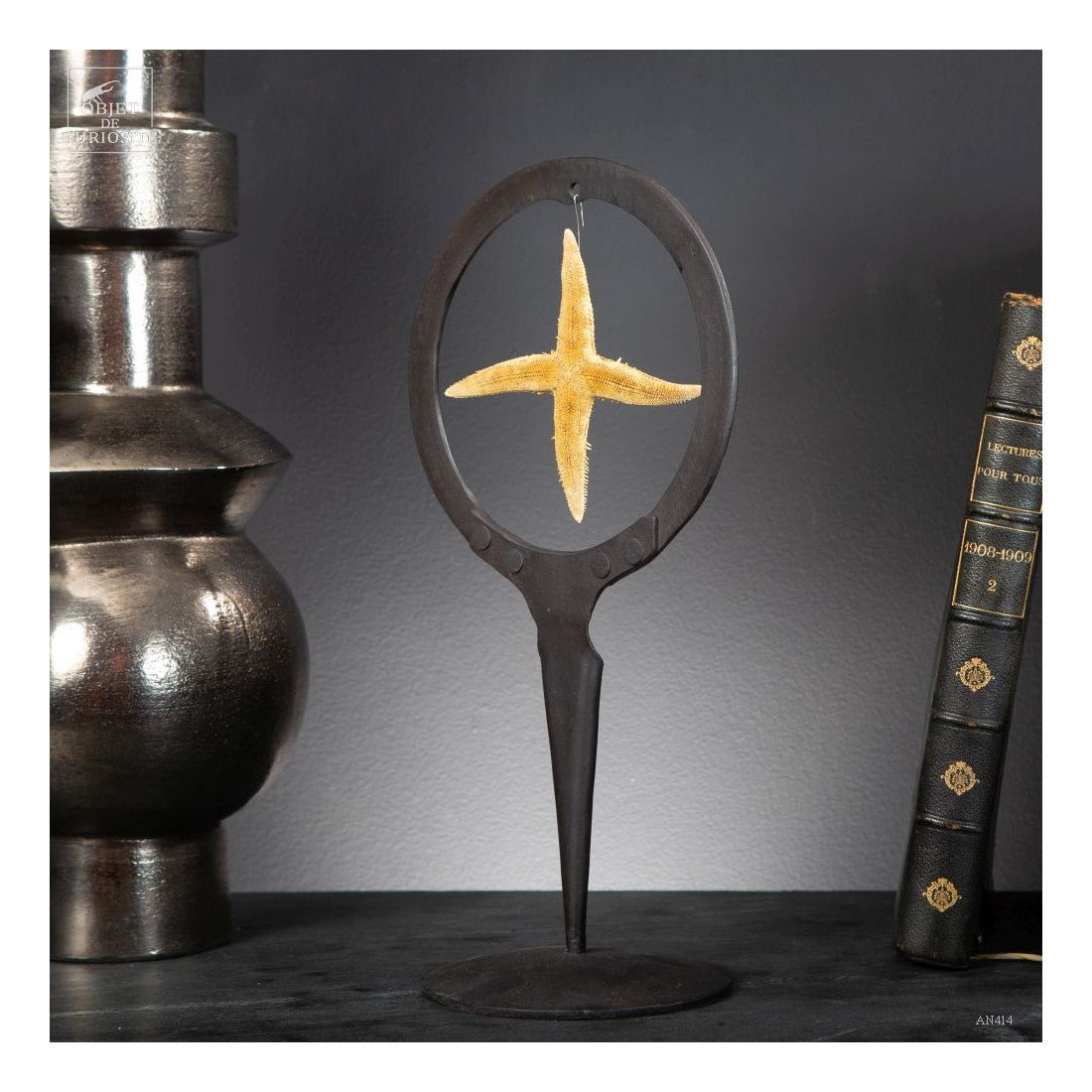 4 arms starfish in metal circle