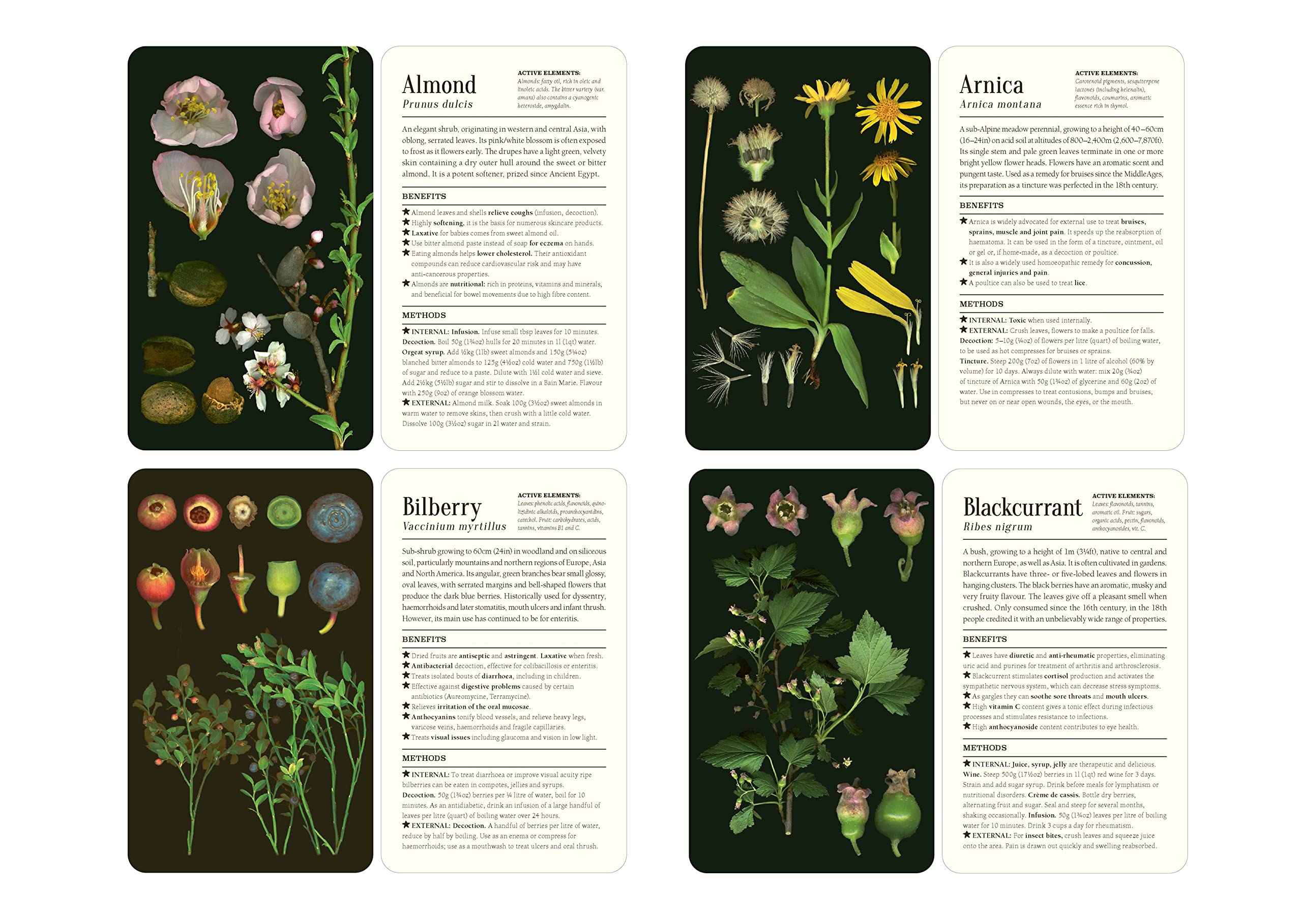 50 Plants that heal - Discover Medicinal Plants - A Card Deck